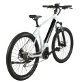 Wholesale 26" Color Customized High Quality Adult Electric Bicycle